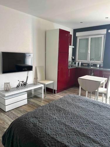 a bedroom with a bed and a tv and a sink at Charmant studio près de Sancheville - 27 m² - 2 pers in Bercis