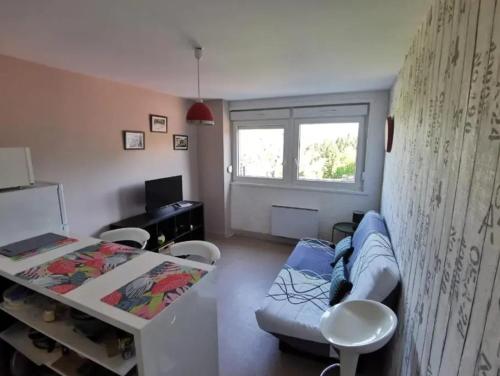 ジェラールメにあるStudio confortable à Gérardmer de 27 m²のソファとテーブルのあるリビングルーム