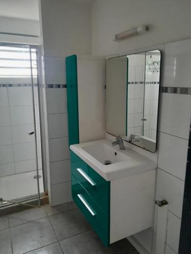 Un baño con lavabo, espejo y ducha. en Appartement spacieux à Morne-à-l'Eau, 80 m², piscine privée, en Brion