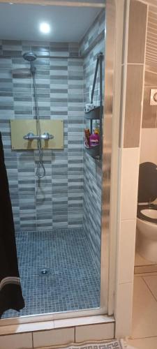 a bathroom with a shower with a toilet at Maison cosy à Saint-Avit-Saint-Nazaire avec jardin in Saint-Avit-Saint-Nazaire