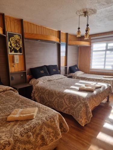 a hotel room with two beds in a room at Hostal Parediso in Punta Arenas