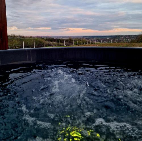 Bazén v ubytování Odiseea Zen nebo v jeho okolí