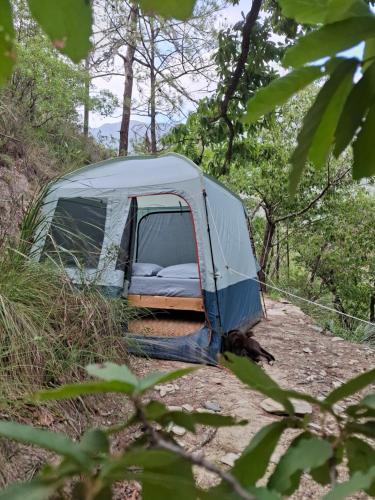 a tent in the woods with a dog laying next to it at Ogachi Mini Glamp 