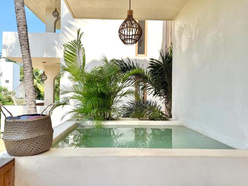 Brisas de ZicatelaにあるCasa Limon 2 bedrooms pool AC La Puntaの植物の家の中央にあるスイミングプール