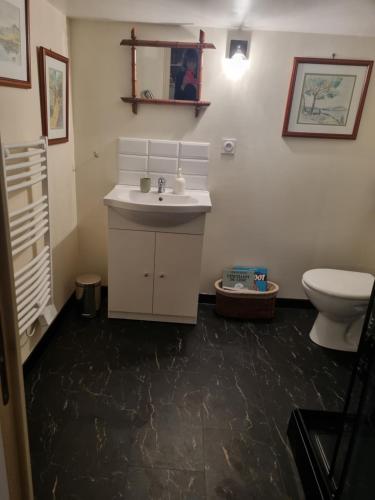 een badkamer met een wastafel en een toilet bij le Jardin in Dinard