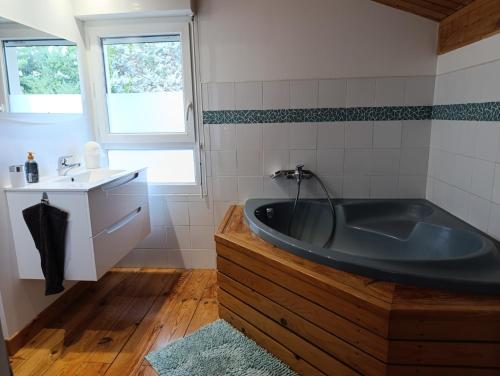a bathroom with a large tub and a sink at La Maison au bord de l'Ain in Charnoz