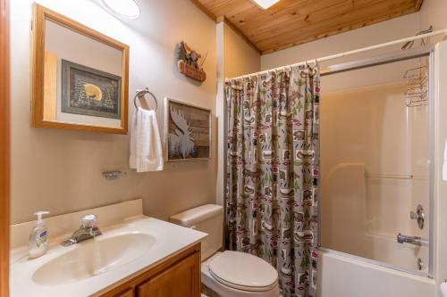 a bathroom with a sink and a toilet and a shower at Apple Cove in Vilas