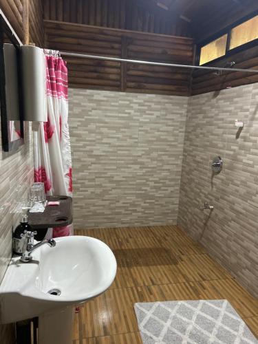 a bathroom with a sink and a shower at Hotel Pedacito de Cielo in Boca Tapada