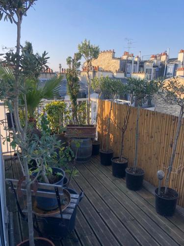 Nice studio and its terrace
