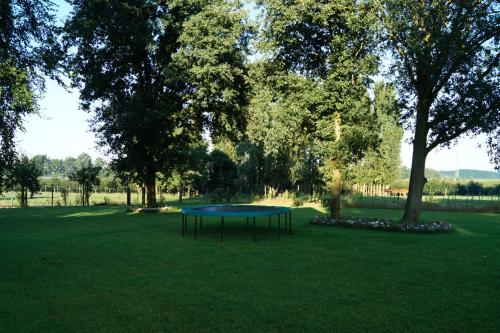 a blue ping pong table in the middle of a field at B&B Johannes-Hoeve in Baarlo