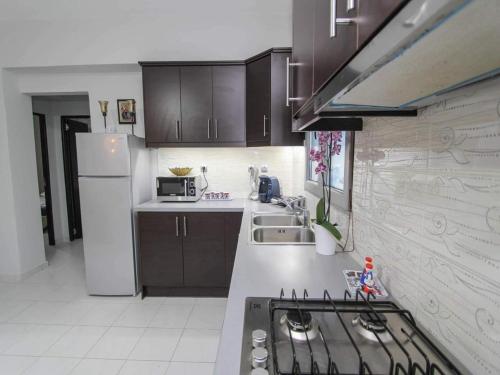 una cocina con fregadero y estufa horno superior en Zakynthos Gold House - Appartments, en Tragaki