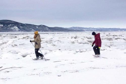 twee mensen zijn langlaufen in de sneeuw bij Condo Bord de fleuve Piscine - Les Voitures d'Eau in L'Isle-aux-Coudres