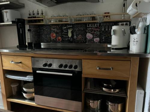 eine Küche mit einer Theke und einem Herd oberen Backofen in der Unterkunft Gnaden -und Ferienhof Saale Wittgenstein in Schorstedt