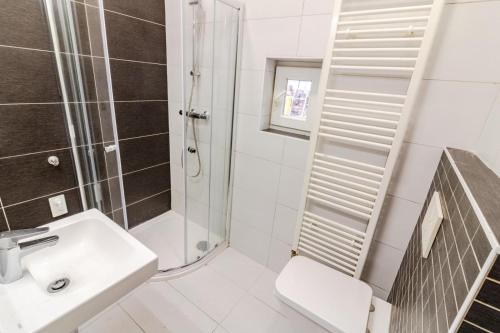 a white bathroom with a shower and a sink at Útulný apartmán v srdci Jihlavy in Jihlava
