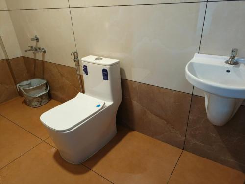 a bathroom with a toilet and a sink at Skyline Inn in Anachal
