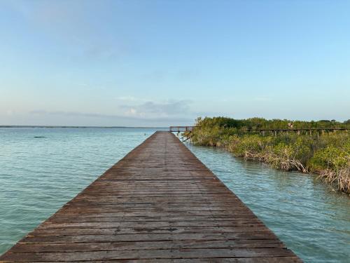 a wooden pier stretches out into the water at Viajero Bacalar Hostel in Bacalar