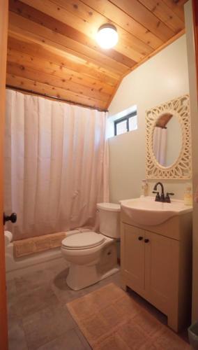 a bathroom with a toilet and a sink at Little Bear Lodge, Located in Ponderosa California in Springville