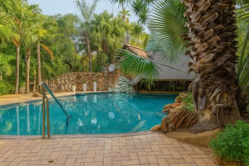 a swimming pool in front of a resort with palm trees at Clarky's Pride Lodge in Alldays