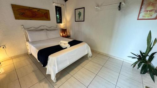 a bedroom with a white bed in a room with a plant at Ibiza in Arraial d'Ajuda
