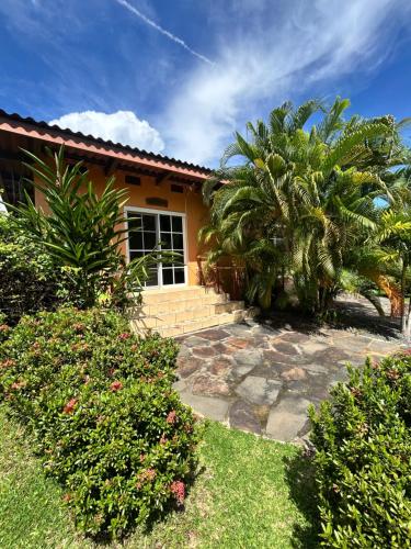 a house with a palm tree and a walkway at Cabanas Los Colibris Hotel Ecolodge in San Carlos