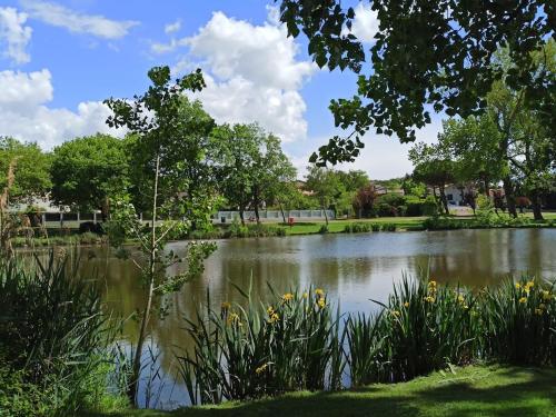 a pond in a park with trees and flowers at La Vague de Pontaillac 55m2 in Royan