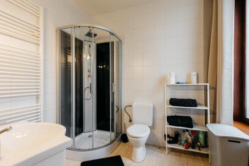 une salle de bain avec une douche, des toilettes et un lavabo dans l'établissement Maison du Beffroi de Mons centre ville, à Mons