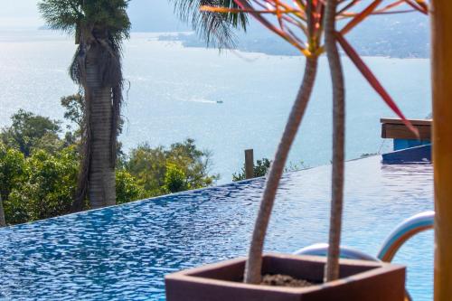 a potted plant sitting next to a swimming pool at Tahaa Pousada Boutique in Ilhabela