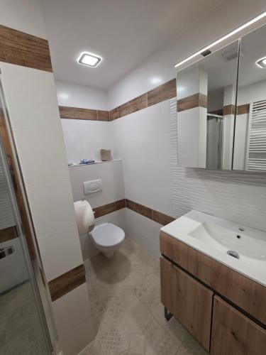 ein Badezimmer mit Toilette und Waschbecken in der Unterkunft Penzion Bedřiška Kraslice in Kraslice