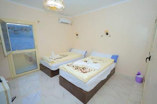 two beds in a room with a window at Pyramids 3 minutes Walking &View INN in Cairo