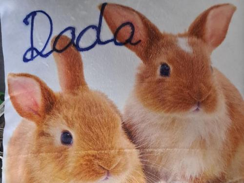 Animales en el apartamento o alrededores