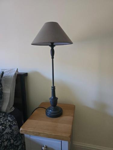 a black lamp sitting on a table next to a bed at Cozy Double Room in Llanidloes