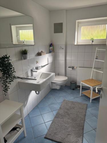 OberteuringenBusiness & Monteur Apartment - Modern Style & Comfort - Bodensee-Oberschwaben的带水槽和马桶的浴室