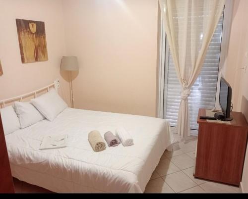 a bedroom with a white bed and a television at Haras'house in Nei Poroi