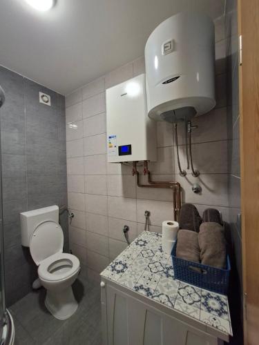 a small bathroom with a toilet and a sink at Stan na dan Ramonda in Donje Mladice