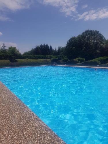 a pool of blue water with trees in the background at Chalet in Freilingen Blankenheim mit Seenähe mitten in der Natur in Blankenheim