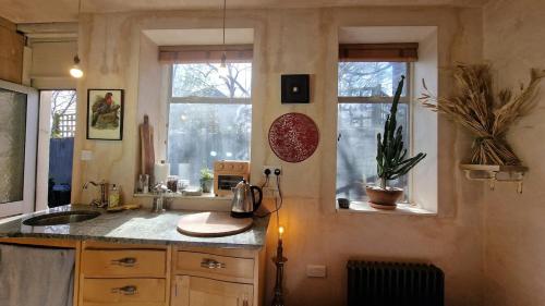 Una cocina con fregadero y dos ventanas. en Private studio New Cross patio garden, en Londres