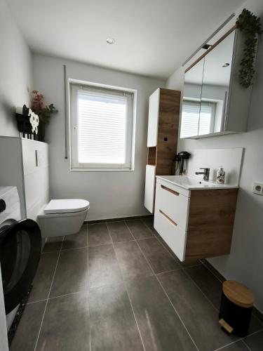 a bathroom with a toilet and a sink and a mirror at FeWo Katharina in Bitburg