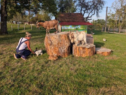 Una mujer arrodillada en la hierba con animales en troncos. en Gite les Caravottes 4 Etoiles avec Jacuzzi - JURA, en Courlaoux