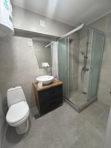 a bathroom with a shower and a toilet and a sink at Apartmani AX in Pančevo