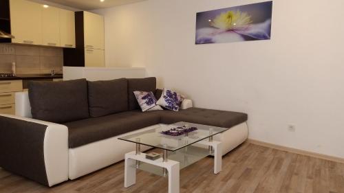 a living room with a couch and a glass table at Apartment Soric in Senj