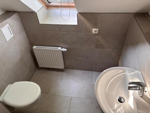 a bathroom with a sink and a toilet at Haus Ostfriesland Jemgum in Jemgum