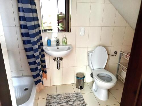 a small bathroom with a toilet and a sink at Dom nad Stawem Pokoje Gościnne 