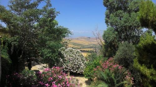 a garden with pink and white flowers and trees at Agriturismo Ridocco in Corleone