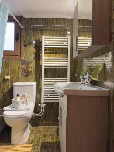 a bathroom with a toilet and a sink at Lydias house II in Arachova