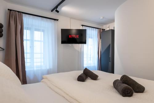 a bedroom with two beds with a tv on the wall at Cave-Salzburg in Salzburg