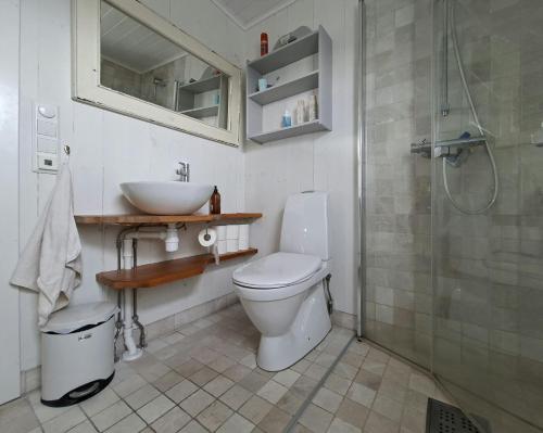 Un baño con inodoro, lavabo y ducha. en Holiday Home Overlooking Fishing Harbour In Hvaler, en Spjær