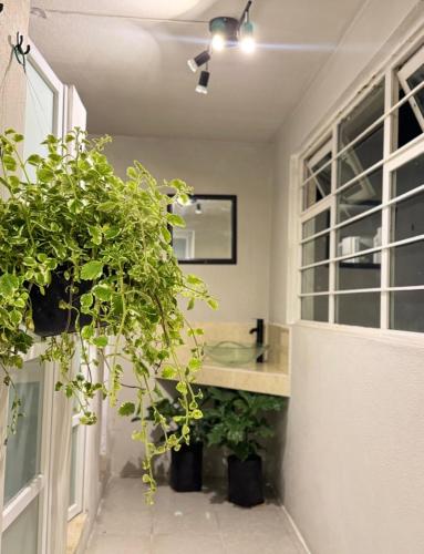 Φωτογραφία από το άλμπουμ του Casa Mi Ranchito σε Τολούκα