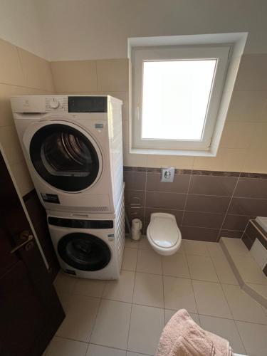 a bathroom with a washing machine and a toilet at Tessa Central House in Kőszeg