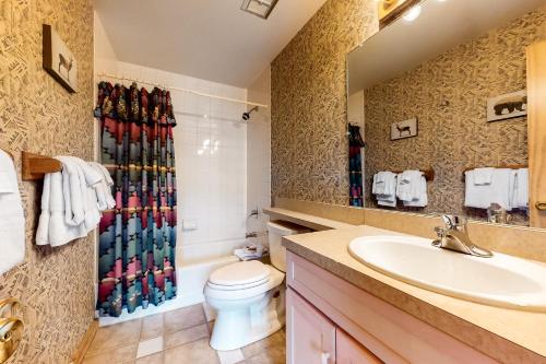 スティームボート・スプリングズにあるSki Time Square 516のトイレと洗面台のあるバスルーム