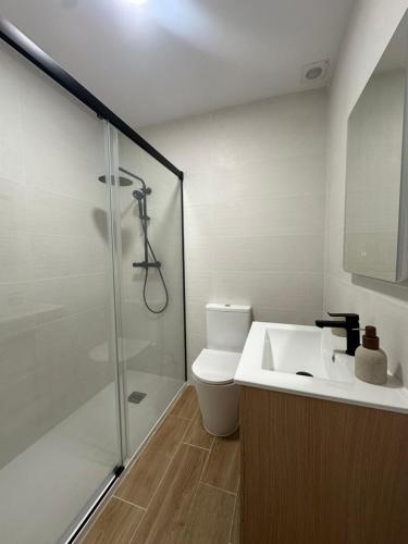 ein Badezimmer mit Dusche und Waschbecken in der Unterkunft Guesthouse Cervantes - Rooms cerca del centro de Granada in Granada